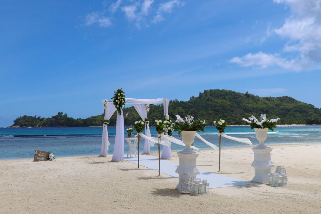 Coconut 06 1 1024x683